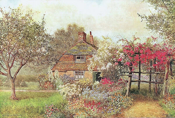 Cottage at Icklesham, Sussex