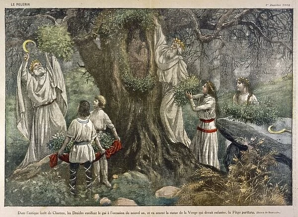 French Druids