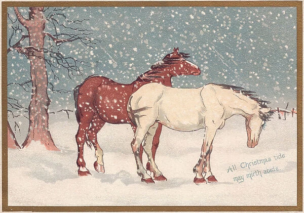 Two horses in the snow