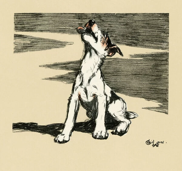 Illustration by Cecil Aldin, puppy howling