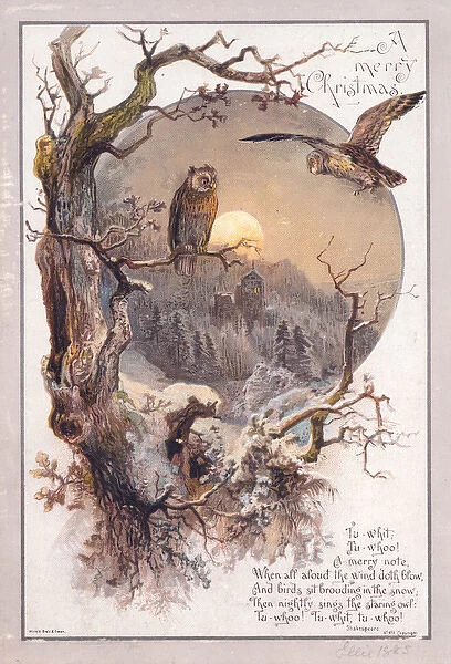 Two owls in moonlight on a Christmas card