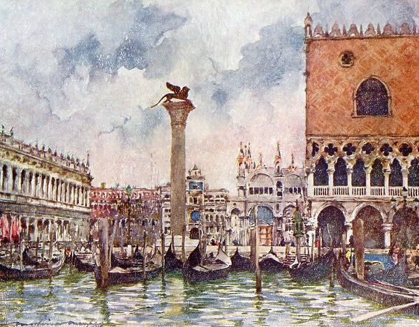 Piazza of St. Mark - Venice, Italy