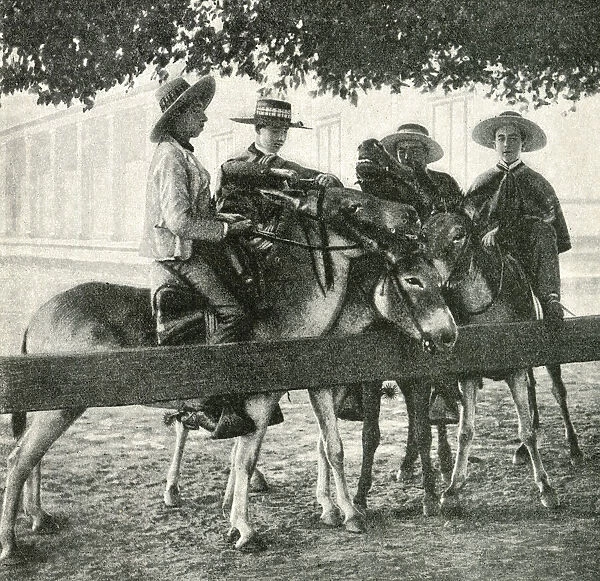 Four young men on mules, Chile, South America