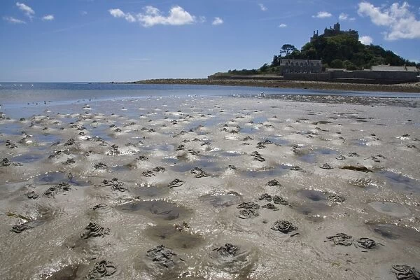 Lugworm casts - photographed at low tide with St Michael's Mount in the background. Cornwall, England