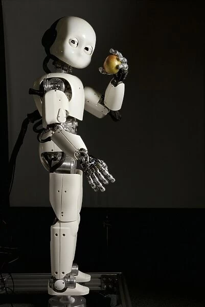 iCub robot