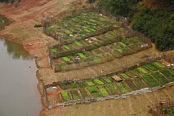 River garden, Laos