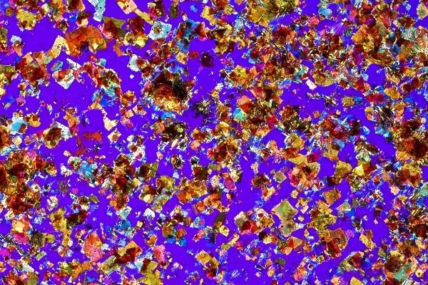 Rock mineral crystals, polarised LM C017  /  8476