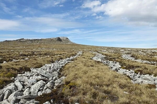Stone runs, Falkland Islands