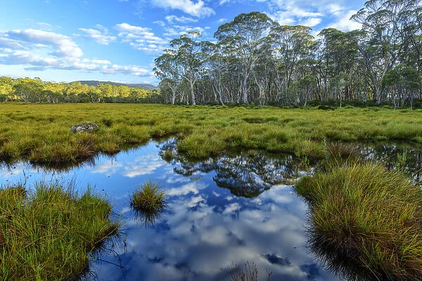 Australia, Australian, Tasmania, Franklin-Gordon Wild Rivers National Park, Blue
