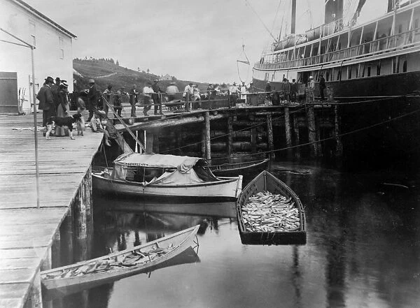ALASKA: FISHING BOAT, 1889. The expedition vessel, George W