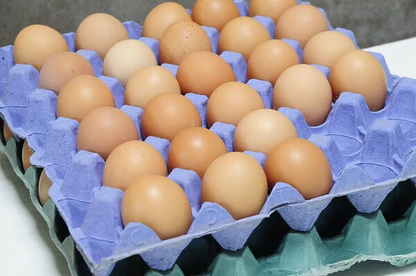 Brown, free range eggs in egg trays, close-up