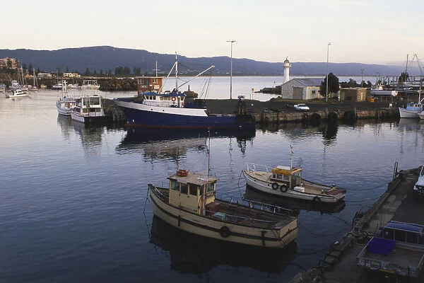 Fishing boats moored along the Wollongong Harbour