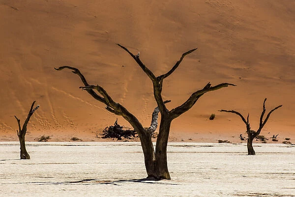 Namibia. Sossusvlei. The place where dunes come together. Namibia