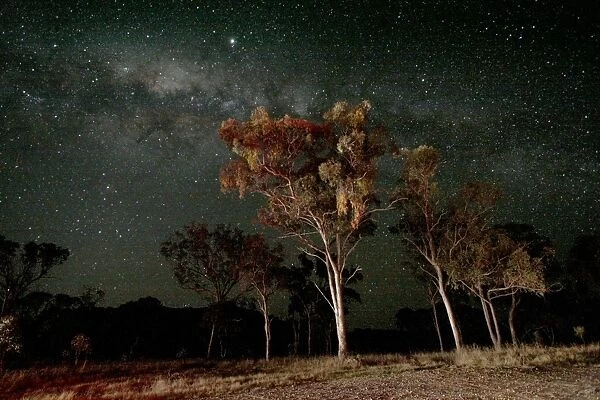 Back under the Australian starry nights