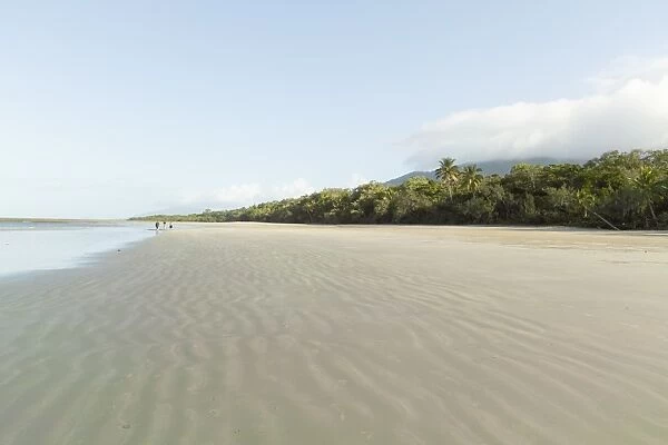 Deserted beach and tropical rainforest, Queensland