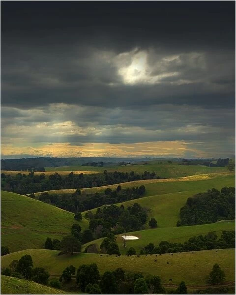 Hill-farming near Dollar, south Gippsland, Victoria, Australia
