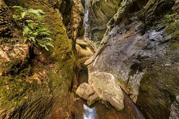 Marble Arch slot canyon in Deua National Park, New South Wales