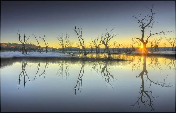 Mokoen wetlands, Victoria, Australia
