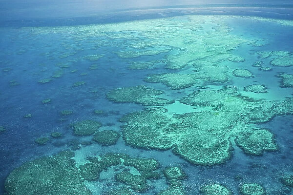 Natural Textures of Great Barrier Reef from above, Queensland, Australia