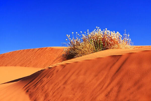 Perry Sandhills, Red Dunes Against Clear Blue Sky