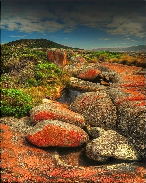 Red, lichen coloured boulders, so typical of Flinders Island, part of the Furneaux group, eastern Bass Strait, Tasmania