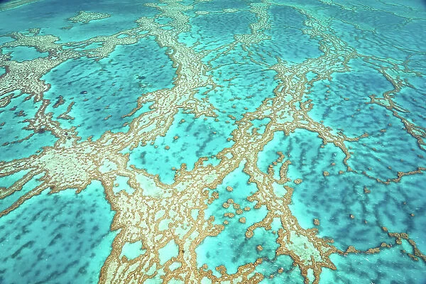 Reef formations abstract, Great Barrier Reef, Australia