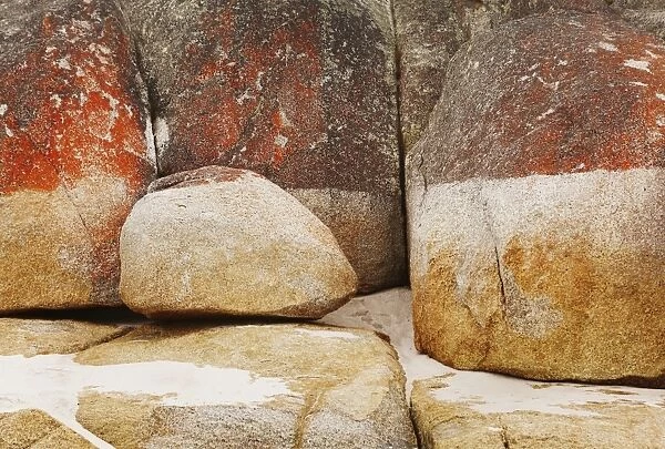 Rocks in Bay of Fires, Tasmania
