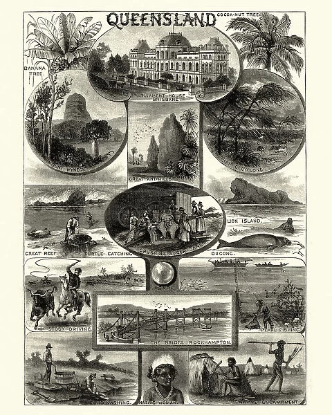 Scenes in Queensland, Australia, Victorian, 19th Century