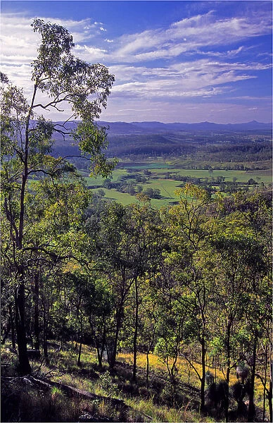 View near Murwillumbah, Queensland, Australia
