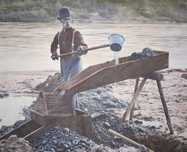 American gold prospector using a sluice box (hand-coloured photo)