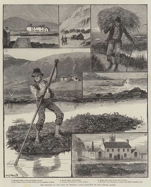 The Distress in the West of Ireland (engraving)
