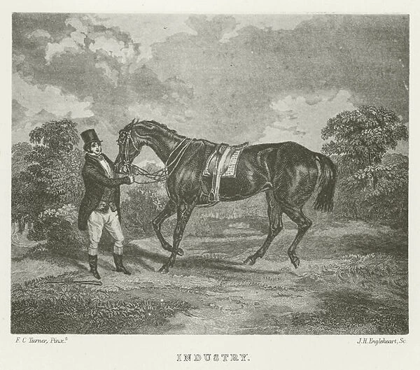 Industry, foaled 1835 (b  /  w photo)
