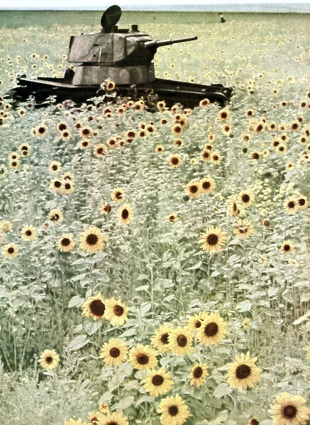 Operation Barbarossa, 1942 (coloured photo)