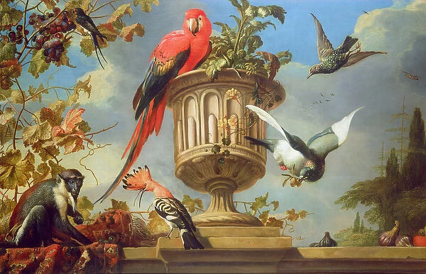Scarlet Macaw perched on an urn, with other birds and a monkey eating grapes
