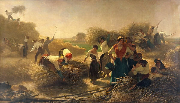 Threshing Rapeseed in the Fields of Lille (oil on canvas)