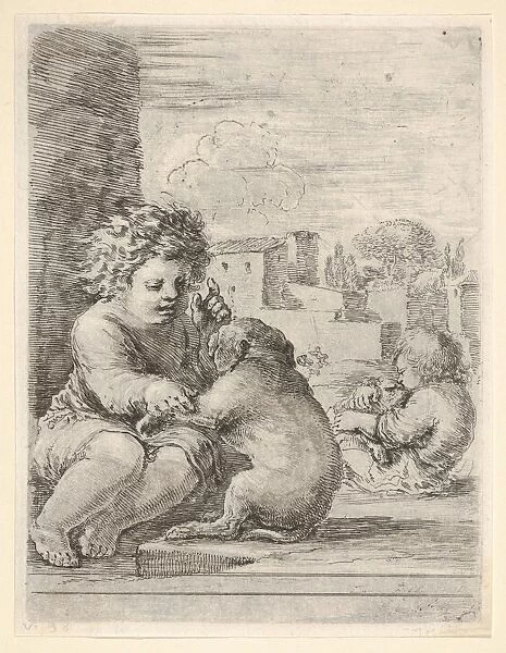 Child teaching dog sit child seated left wall