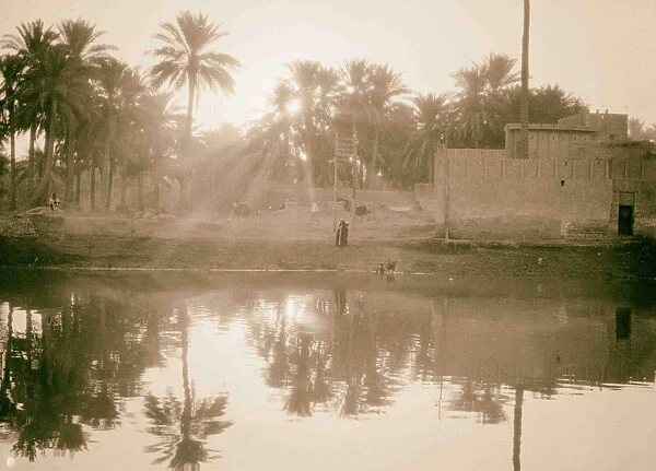 River scenes Euphrates Hilla Sun rays palm grove