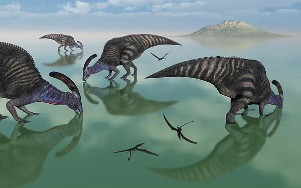 Parasaurolophus dinosaurs graze an organic rich lake