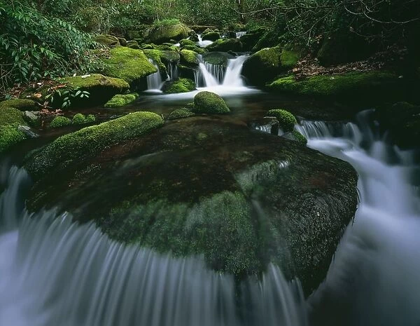 Tennessee, United States Of America; Moss And Curved Cascade In The Roaring Fork River In Great Smoky Mountains National Park