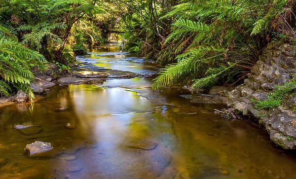 Tranquil river, Blue Mountains, New South Wales, Australia