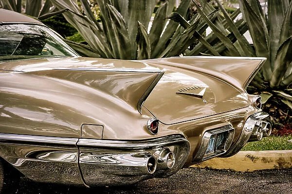 1950's Cadillac Eldorado, back fin & trunk