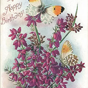 Birthday postcard design with butterflies and flowers