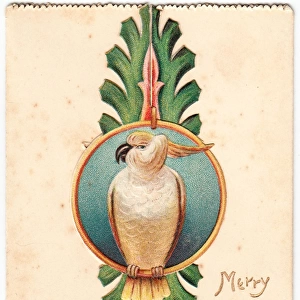Cockatoo on a Christmas card