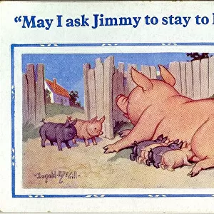 Comic postcard, Piglets at lunchtime Date: 20th century