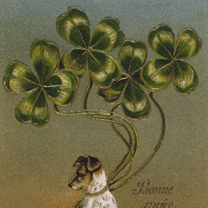 Dog and Clover