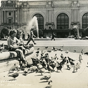 Feeding pigeons, San Francisco, California, USA