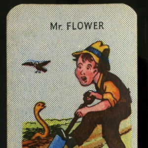 Happy Families - Mr Flower