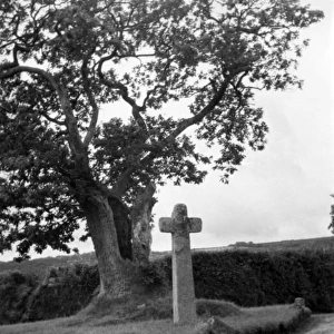 Hawson Cross