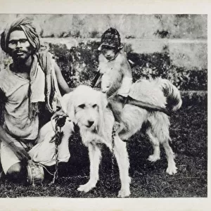 Indian man with his performing monkey and dog