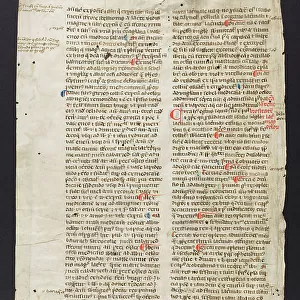 Medical Text (Pietro D'Abano?) (Fragment)